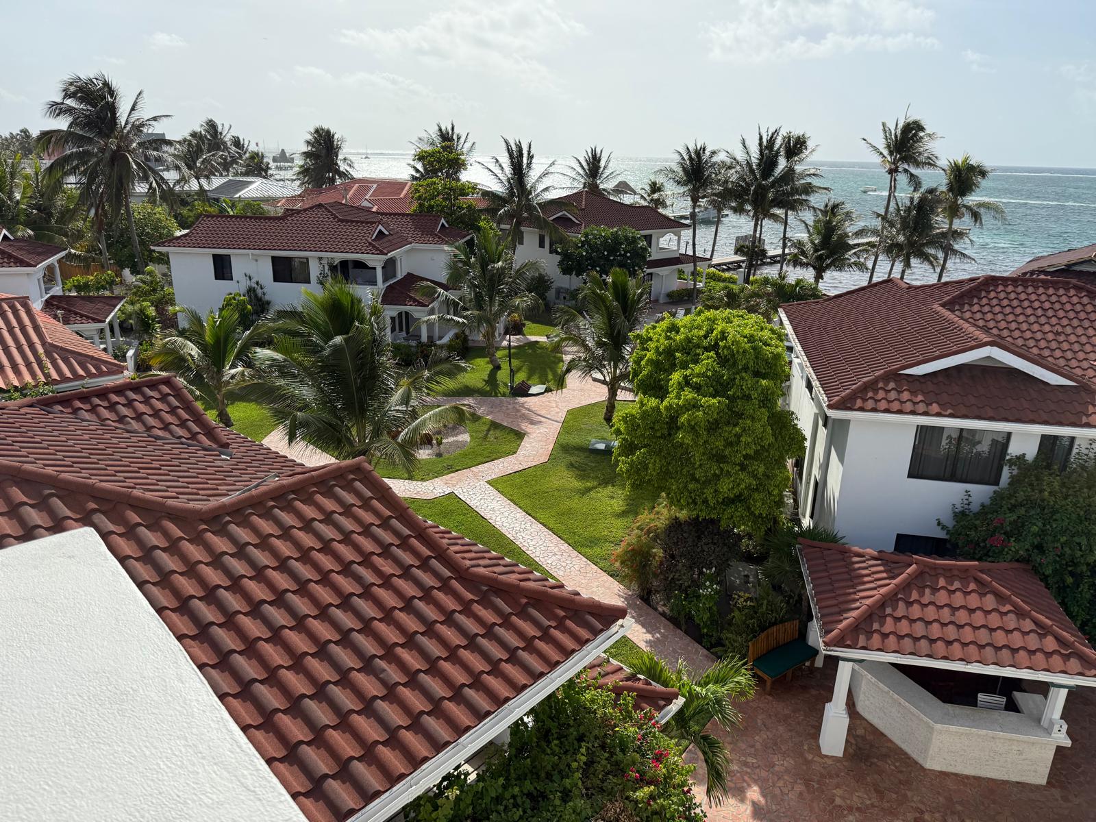 caribbean school of medicine